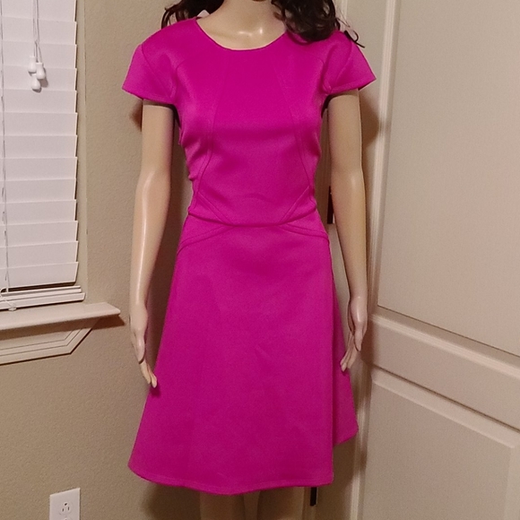Ted Baker Pink Cap Sleeve Skater Dress - Picture 8 of 8